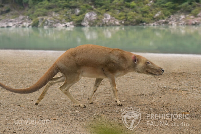 Este paleoartista recrea la fauna prehistórica: 12 criaturas antiguas para el calendario 2025