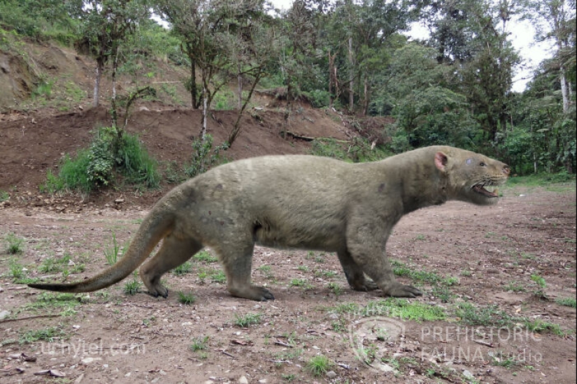 Este paleoartista recrea la fauna prehistórica: 12 criaturas antiguas para el calendario 2025