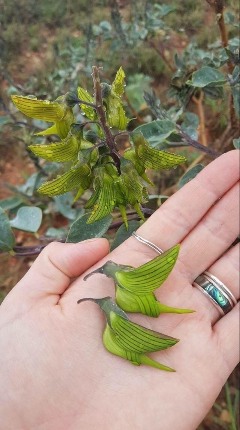 Esto es interesante! 20 fotos que están garantizados para ampliar sus horizontes