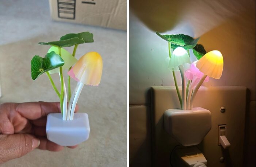 Estos 24 objetos que pretendían ser creativos se convirtieron accidentalmente en geniales