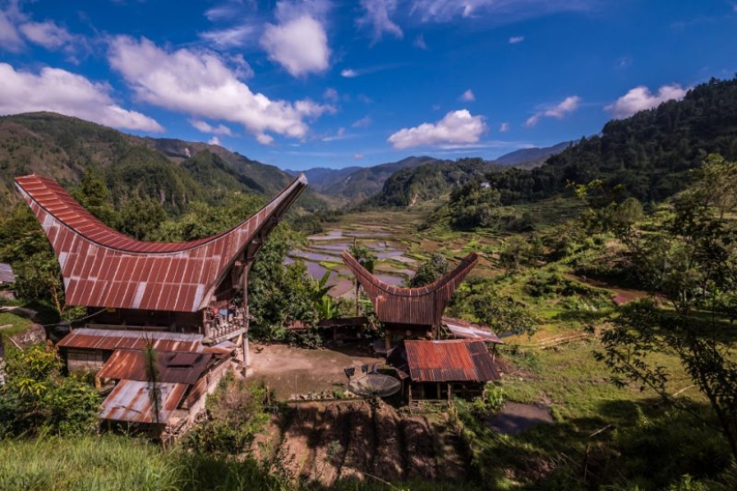 Eternal memory: residents of the Indonesian tribe have kept the bodies of deceased relatives in their homes for decades