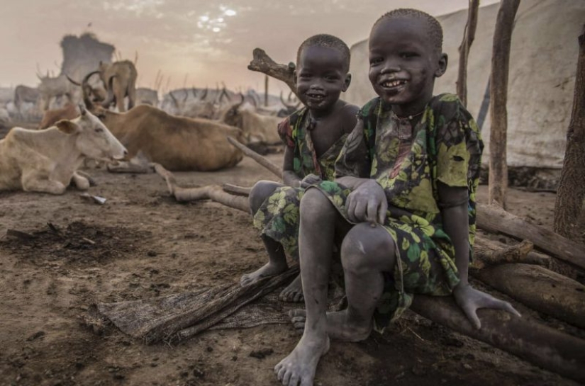 Everyday life of the Dinka people of Africa: women who do not recognize clothes, defeated cancer and buffaloes