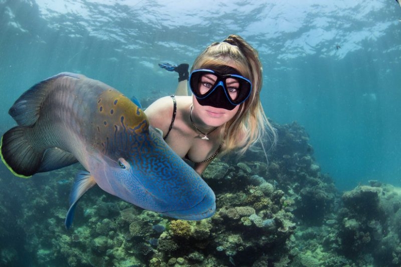 Everyone calls her the pictures with photoshop, but they are real: amazing footage of a diver and the underwater world