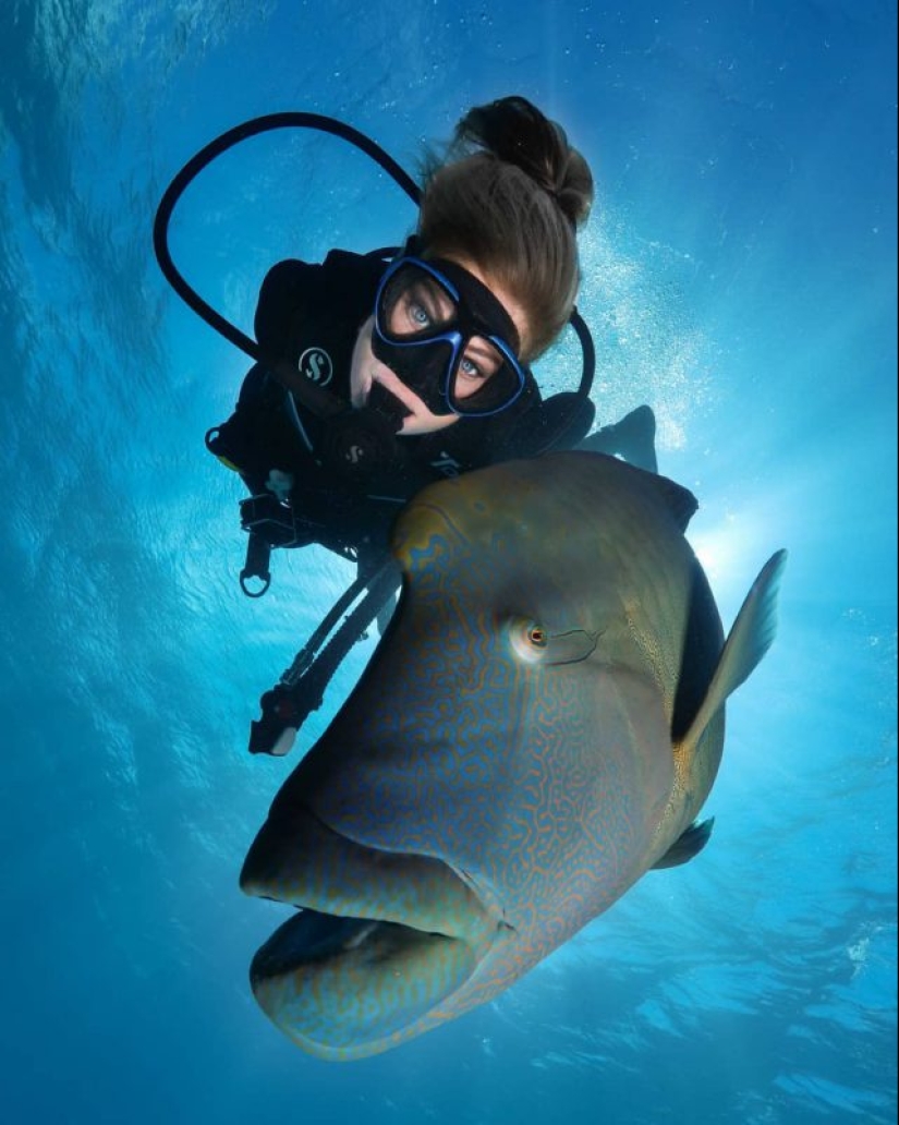 Everyone calls her the pictures with photoshop, but they are real: amazing footage of a diver and the underwater world