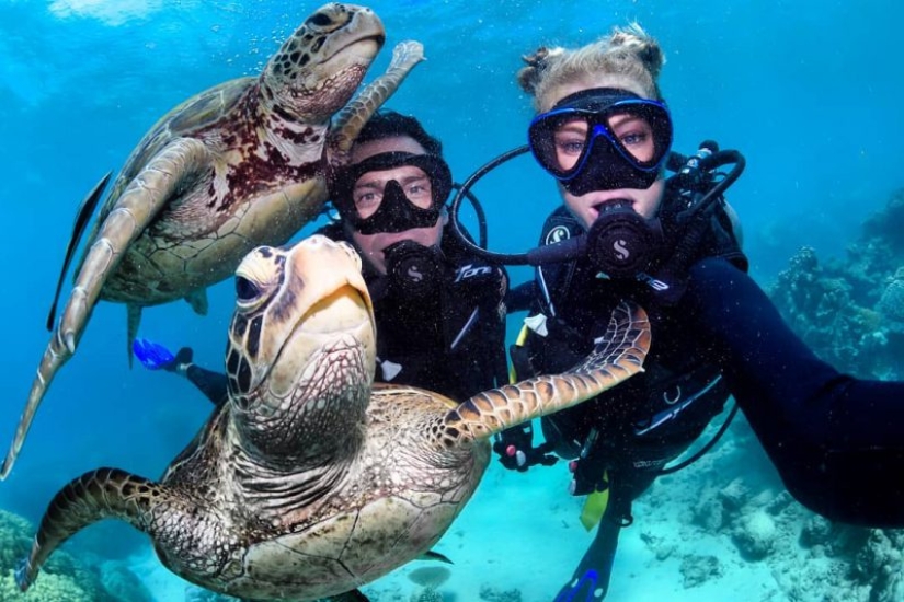 Everyone calls her the pictures with photoshop, but they are real: amazing footage of a diver and the underwater world