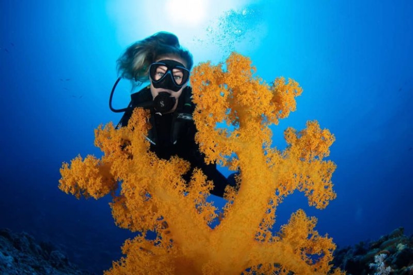 Everyone calls her the pictures with photoshop, but they are real: amazing footage of a diver and the underwater world