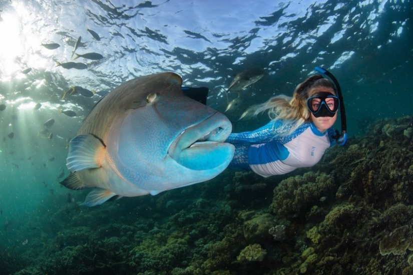 Everyone calls her the pictures with photoshop, but they are real: amazing footage of a diver and the underwater world