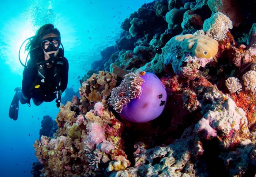 Everyone calls her the pictures with photoshop, but they are real: amazing footage of a diver and the underwater world