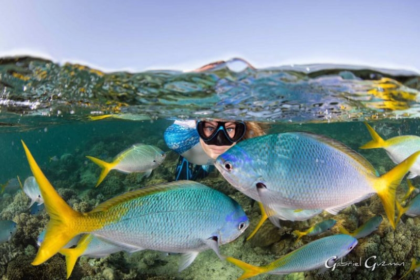 Everyone calls her the pictures with photoshop, but they are real: amazing footage of a diver and the underwater world