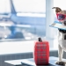 Everything You Need to Know about Traveling with Animals