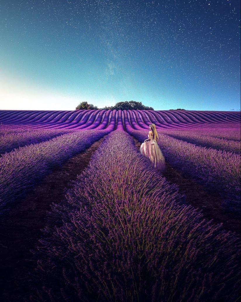 Evoking calm and sleep: photos of lavender fields in the South of France