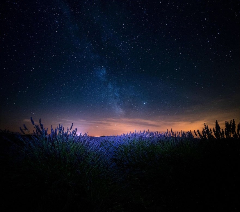 Evoking calm and sleep: photos of lavender fields in the South of France