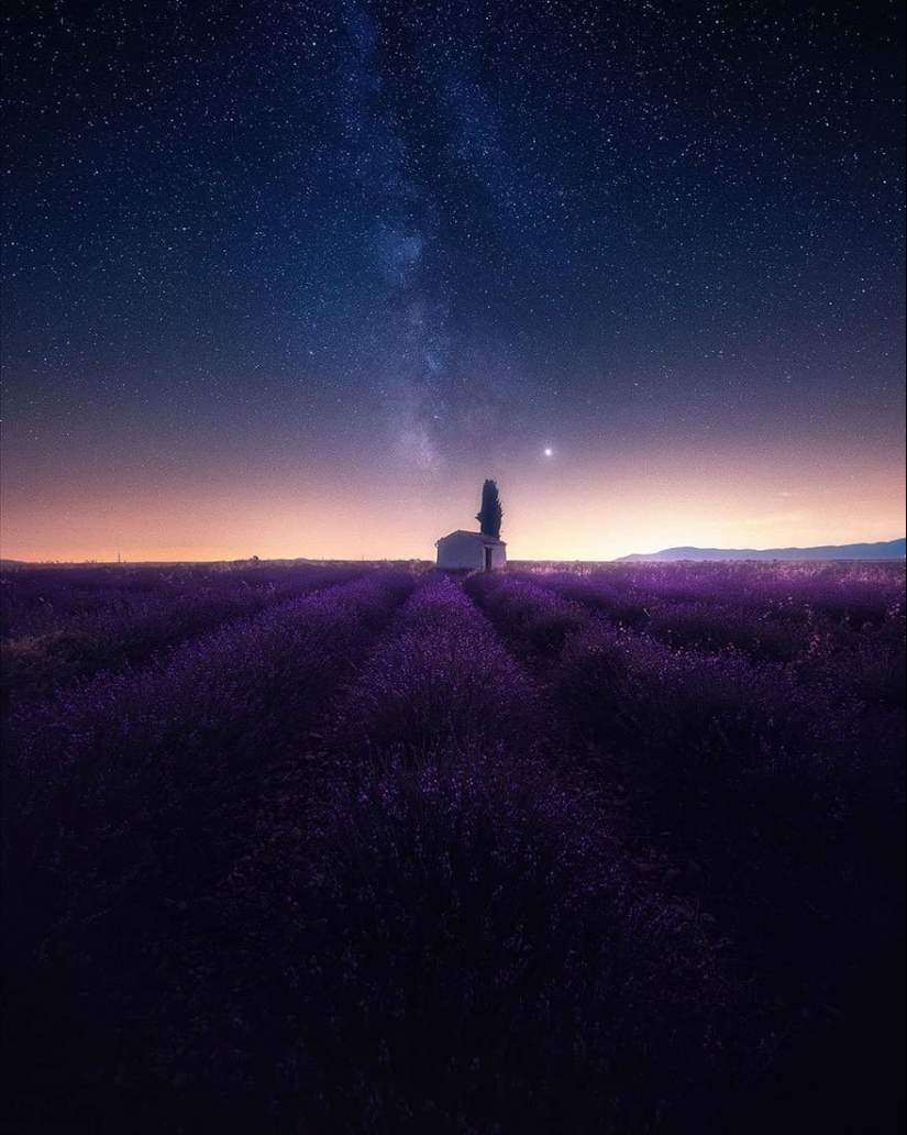 Evoking calm and sleep: photos of lavender fields in the South of France