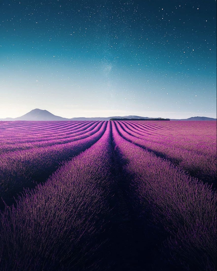 Evoking calm and sleep: photos of lavender fields in the South of France