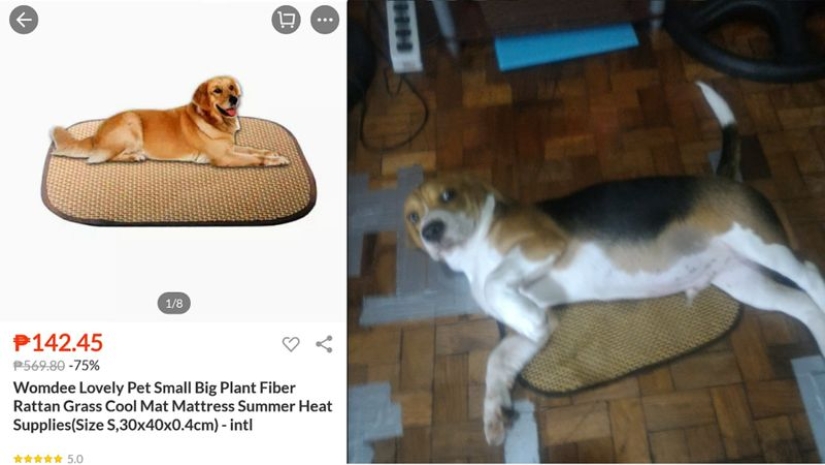 Expectation and reality: 25 incredible online shopping