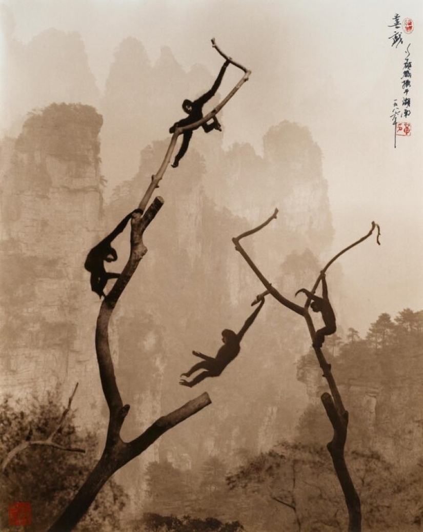 Exquisito Chino motivos en las imágenes, el icónico fotógrafo don Hong-OAI