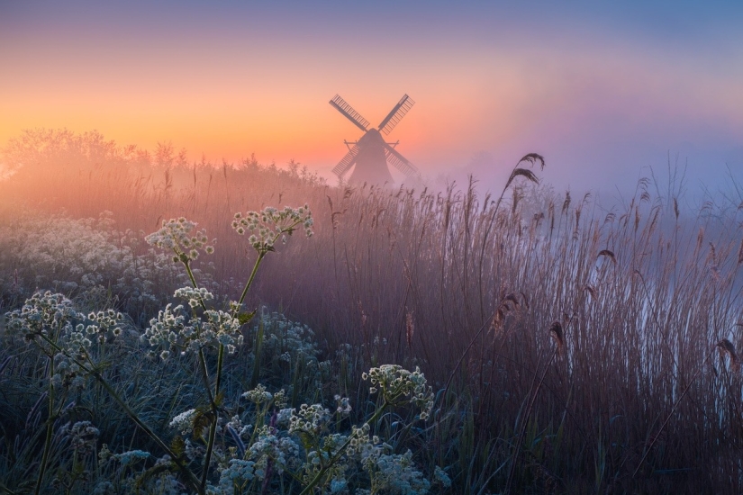 Fabulosas fotos de la hermosa Holanda que quita el hipo