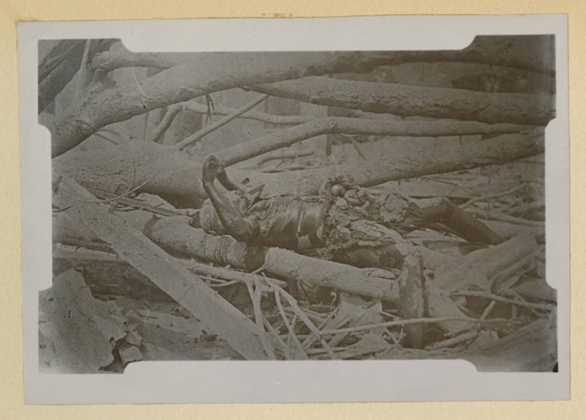 Face distorted in the throes of agony: images before and after the terrible volcanic eruption of the twentieth century