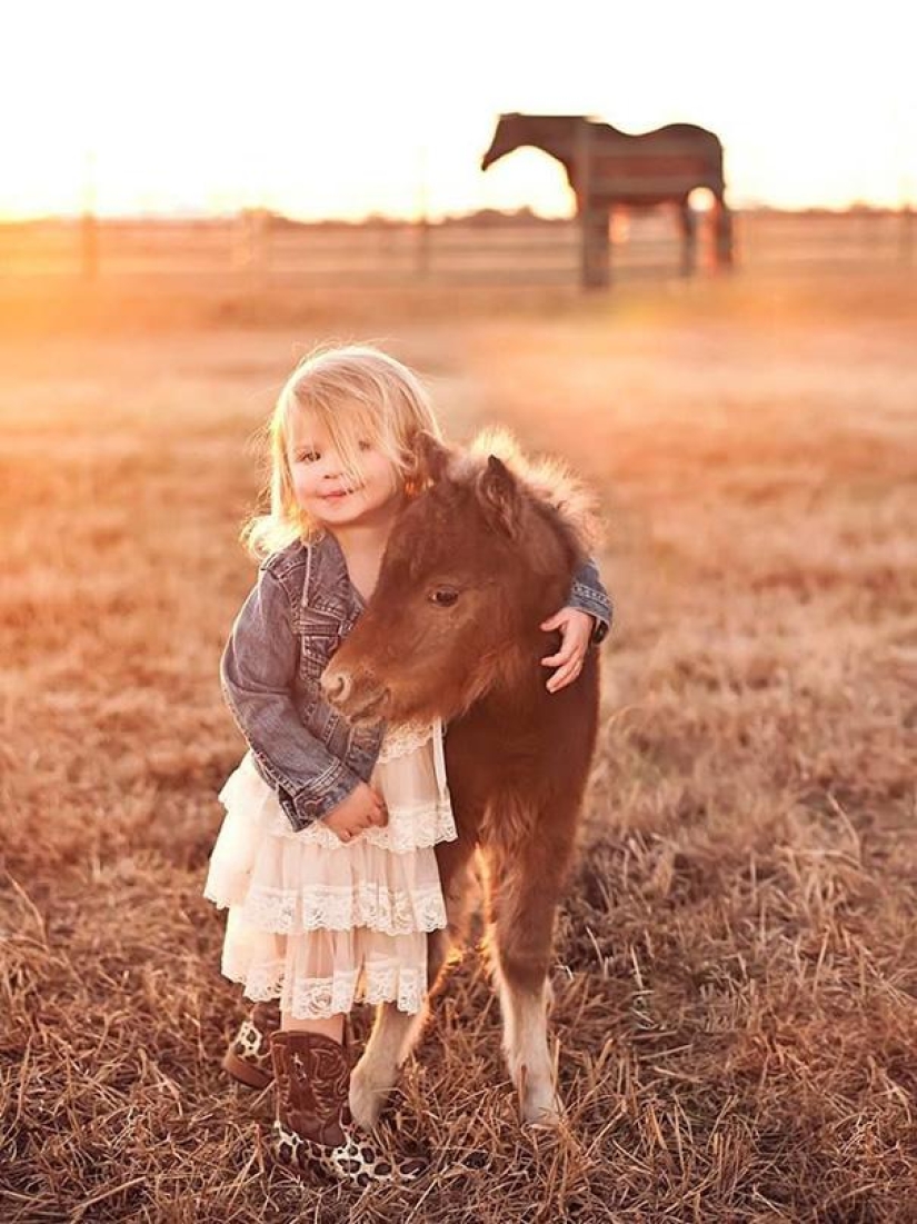 Falabella horses — the amazing story of the most exotic breed in the world