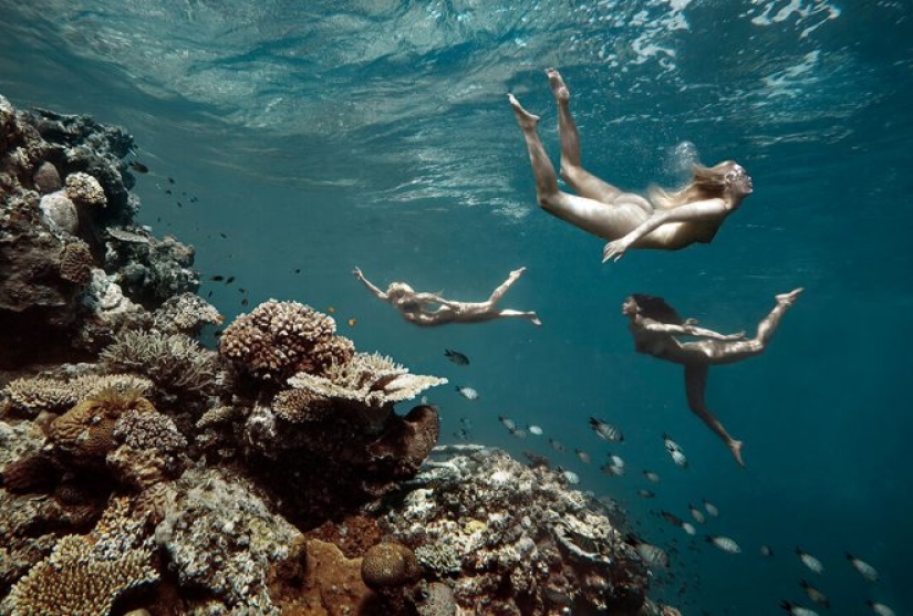 Fantasies at the Great Barrier Reef by the master of beach photography Paul Giggle