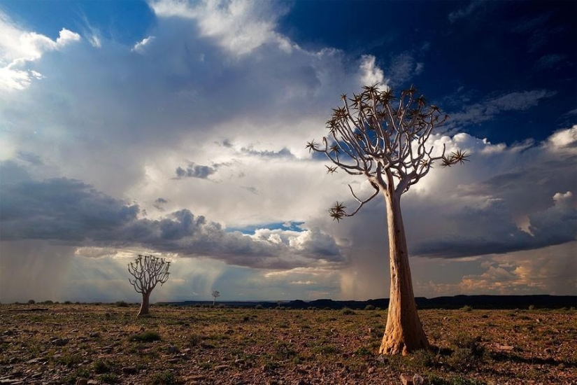 Fantastic landscapes of Namibia