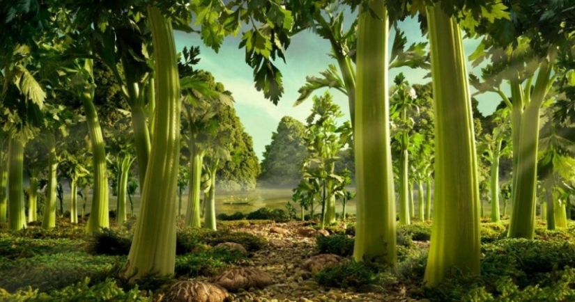 Fantásticos paisajes de comida. Sucede así.