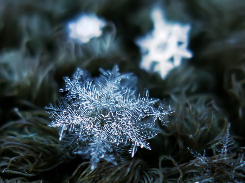 Fascinantes gotas de nieve macro en la foto del maestro ruso