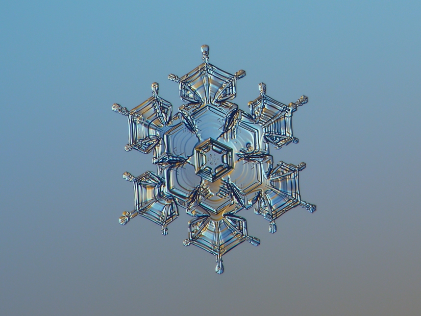 Fascinantes gotas de nieve macro en la foto del maestro ruso