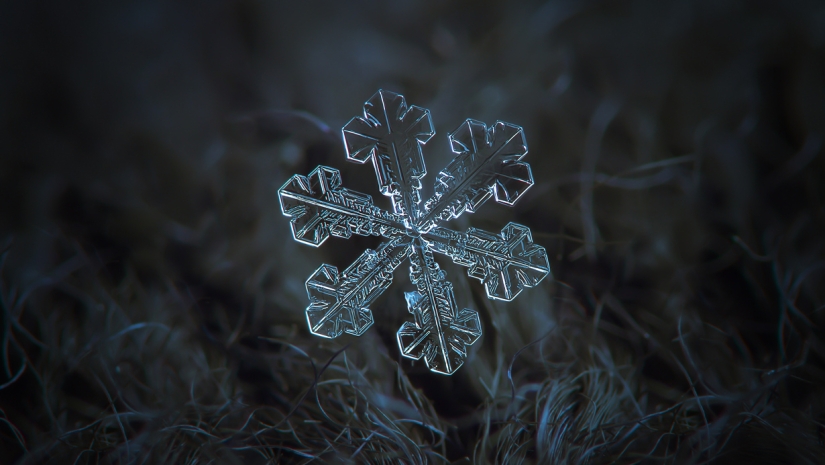 Fascinantes gotas de nieve macro en la foto del maestro ruso