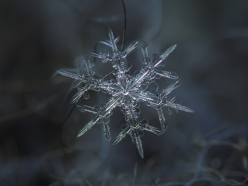 Fascinantes gotas de nieve macro en la foto del maestro ruso