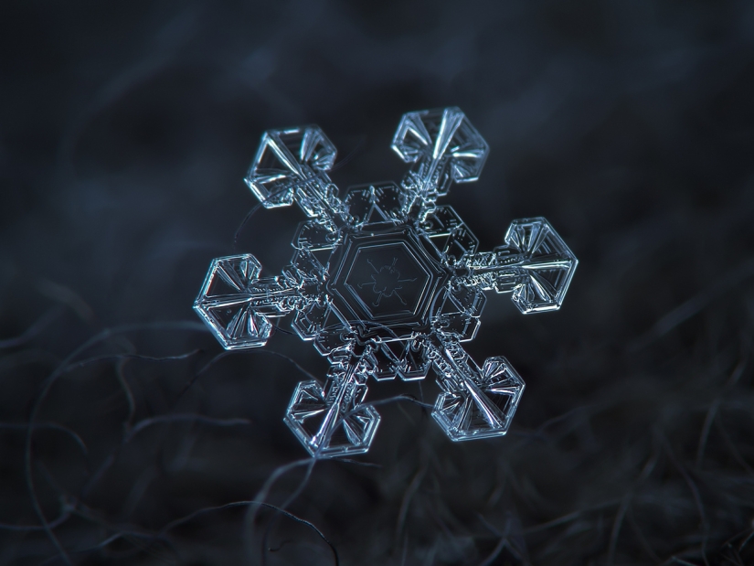 Fascinantes gotas de nieve macro en la foto del maestro ruso