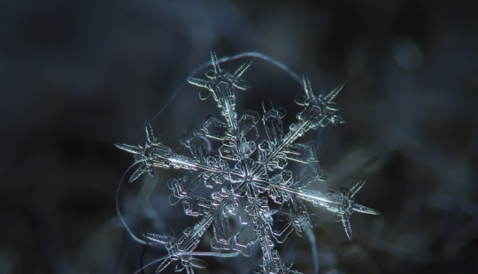 Fascinantes gotas de nieve macro en la foto del maestro ruso