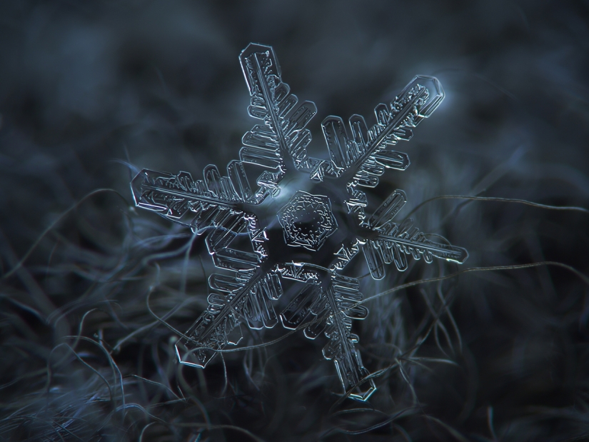 Fascinantes gotas de nieve macro en la foto del maestro ruso