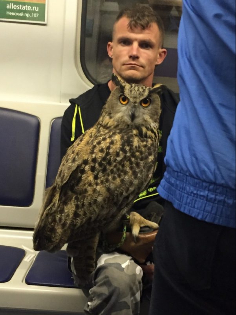 Fashion of the people: the brightest passengers on Russian subway