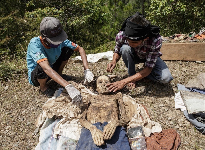 Festival de Manene, durante el cual el pueblo Toraja desentierra los cuerpos de sus familiares fallecidos