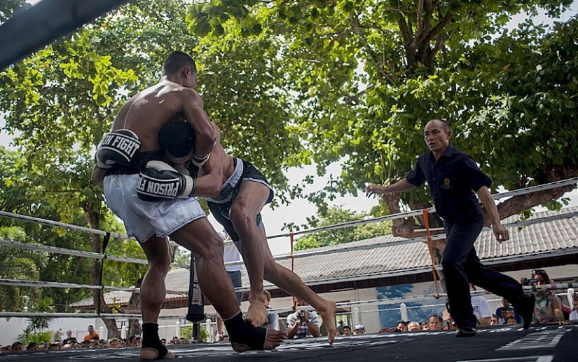 Fight clubs in Thai prisons