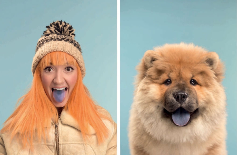 Find 10 differences: dogs, just like their owners