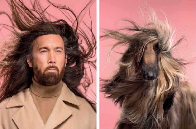 Find 10 differences: dogs, just like their owners