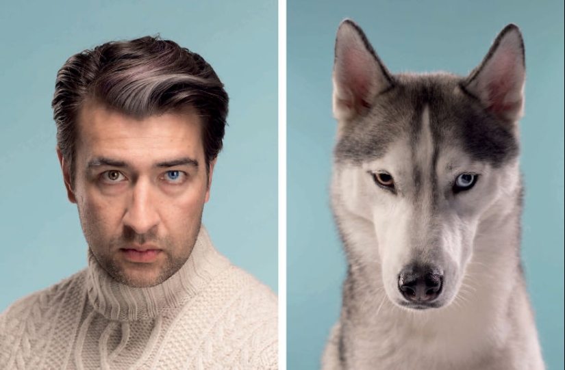 Find 10 differences: dogs, just like their owners