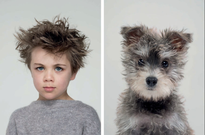 Find 10 differences: dogs, just like their owners