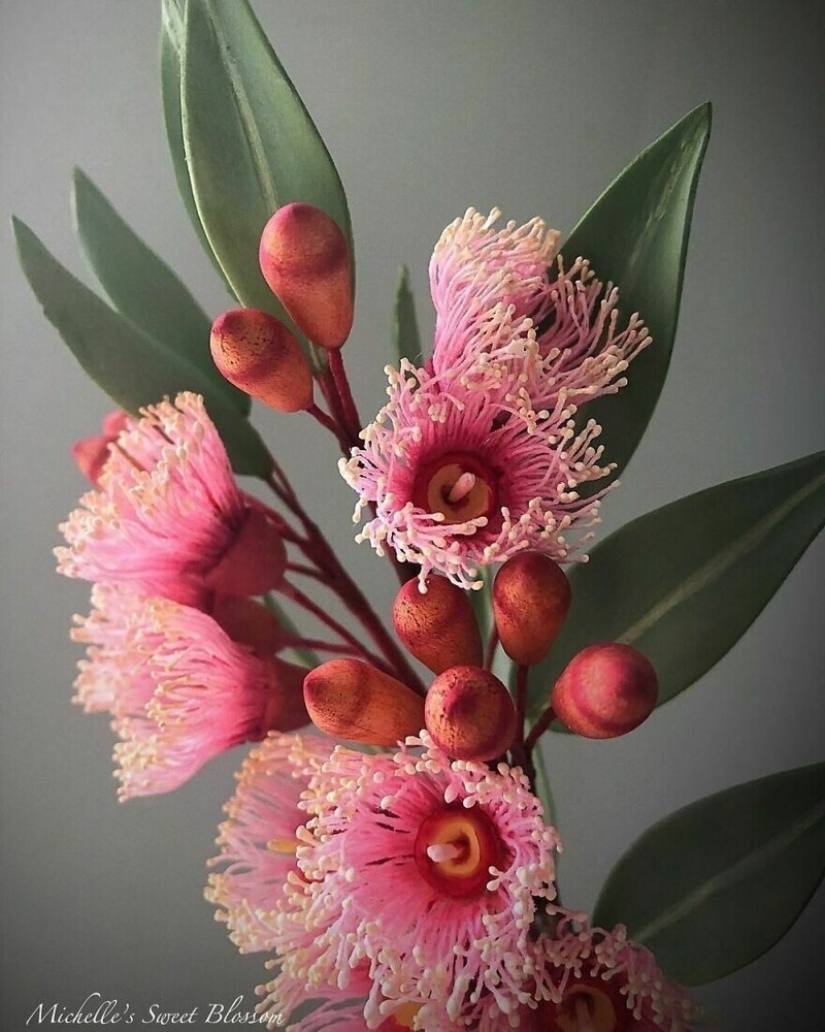 Flowers out of sugar: 30 stunning work from Michelle Nguyen