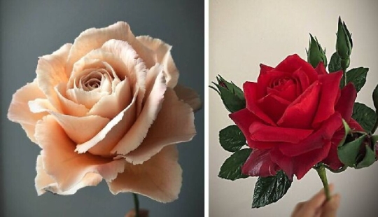 Flowers out of sugar: 30 stunning work from Michelle Nguyen