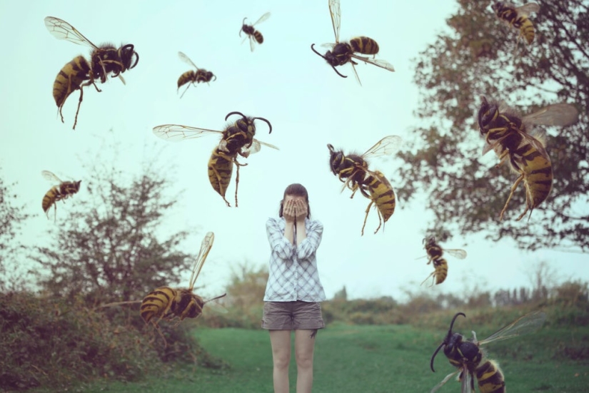 "For no particular reason?": why do wasps hate people in summer