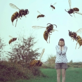 "For no particular reason?": why do wasps hate people in summer