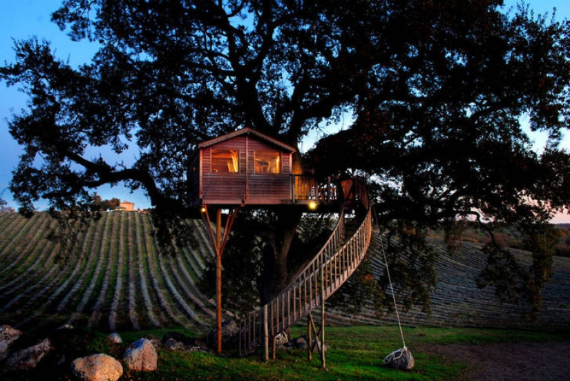 For this tree house you will give up everything and move to Tuscany