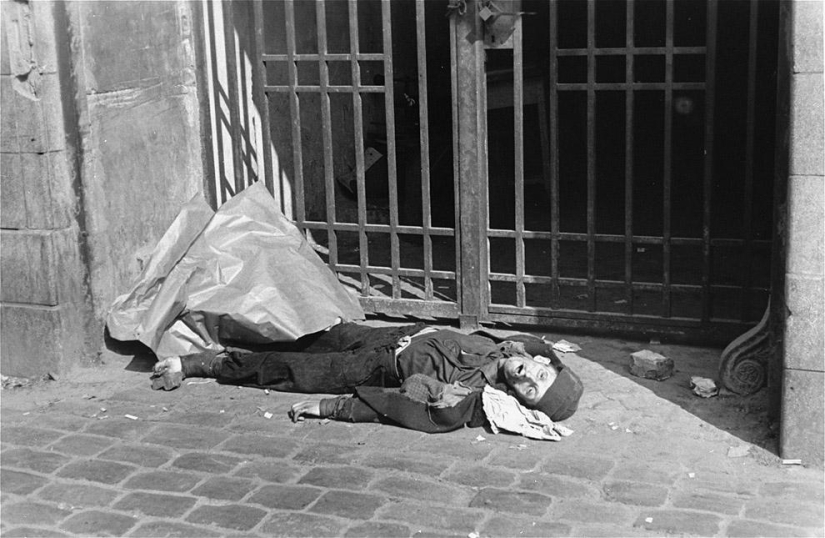 Forbidden photos: the Warsaw Ghetto in the summer of 1941