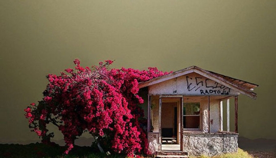 Forgotten corners in the California desert