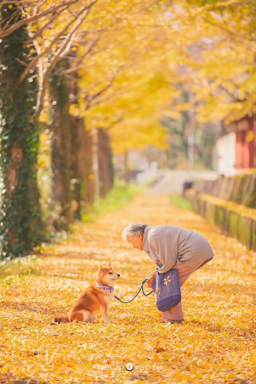 Fotógrafo de Japón hace tocar las fotos de su abuela y el perro