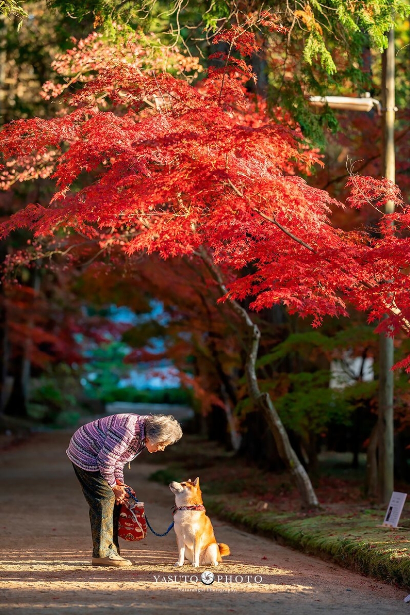 Fotógrafo de Japón hace tocar las fotos de su abuela y el perro
