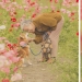 Fotógrafo de Japón hace tocar las fotos de su abuela y el perro